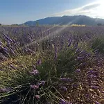 Maison Conviviale En Pleine Nature A Greoux-les-bains, 3 *