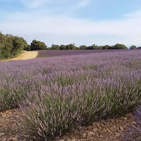 Maison Conviviale En Pleine Nature A Greoux-les-bains, 3 Holiday home