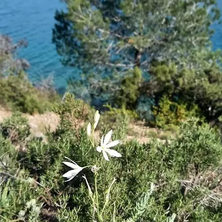 Дом отдыха Maison Conviviale En Pleine Nature A Greoux-les-bains, 3