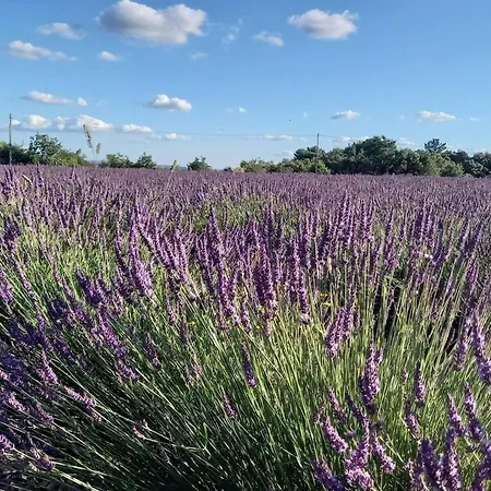 Maison Conviviale En Pleine Nature A Greoux-les-bains, 3