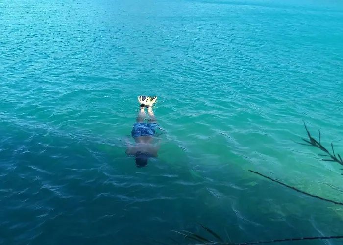 Maison Conviviale En Pleine Nature A Greoux-les-bains, 3