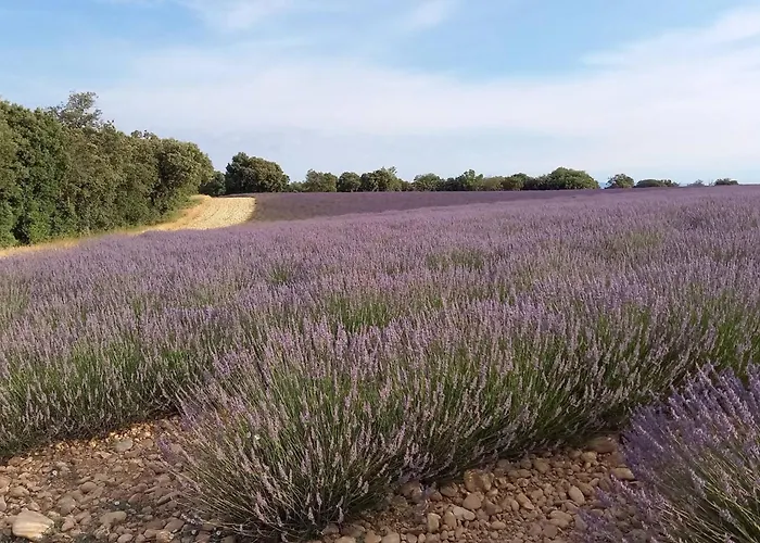Maison Conviviale En Pleine Nature A Greoux-les-bains, 3 Holiday home
