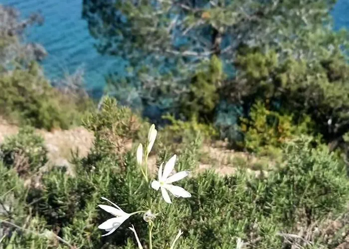 Holiday home Maison Conviviale En Pleine Nature A Greoux-les-bains, 3