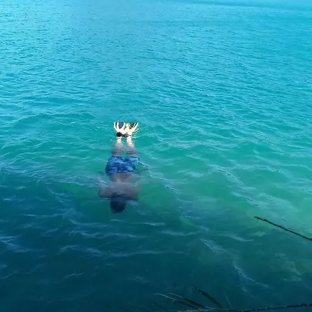 Maison Conviviale En Pleine Nature A Greoux-les-bains, 3