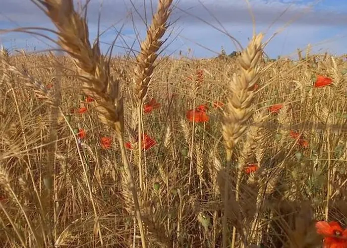 Maison Conviviale En Pleine Nature A Greoux-les-bains, 3 Greoux-les-Bains