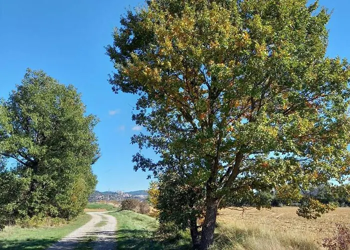 Holiday home Maison Conviviale En Pleine Nature A Greoux-les-bains, 3 Greoux-les-Bains