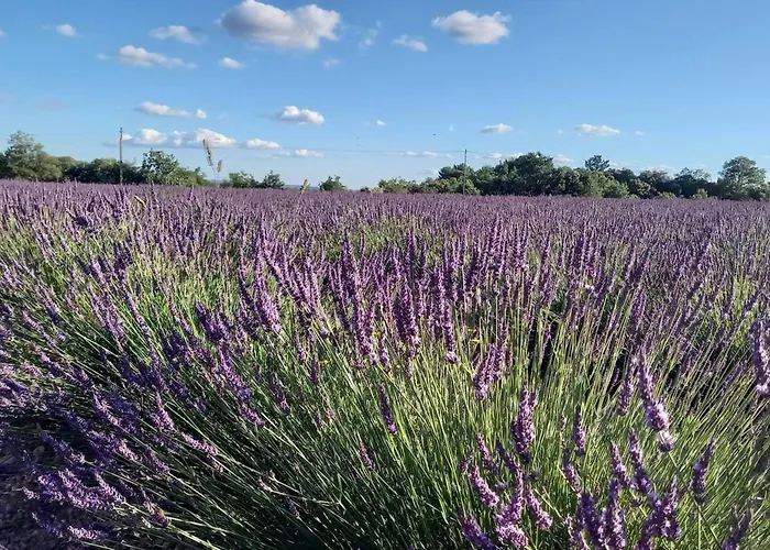 Maison Conviviale En Pleine Nature A Greoux-les-bains, 3